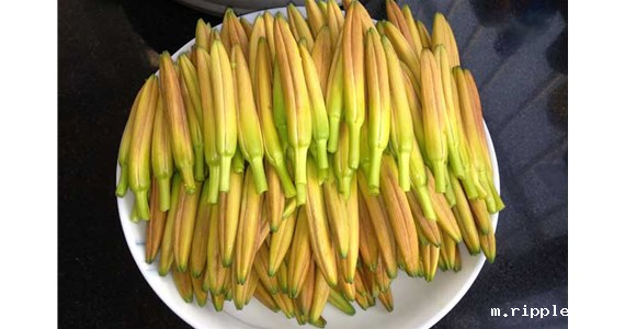 用黄花菜烘干机烘干后的黄花菜好吃吗？