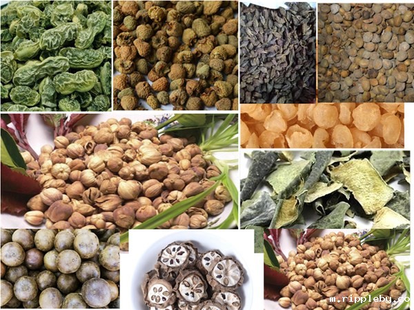 中药材干燥设备发展