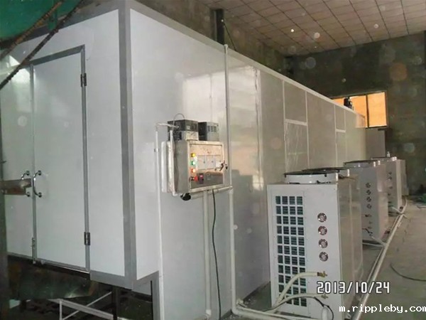 Vegetable belt heat pump dryer