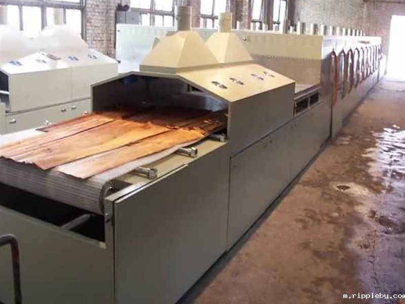 Wood microwave drying equipment