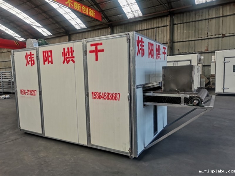 Sichuan pepper octagonal pepper mesh belt dryer