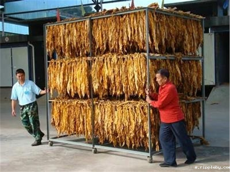 WYH series tobacco drying oven (click to enter)